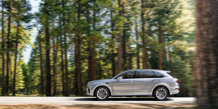 Bentley Muscat Bentley Bentayga Extended Wheelbase SUV in Moonbeam paint driving dynamically on a forest road